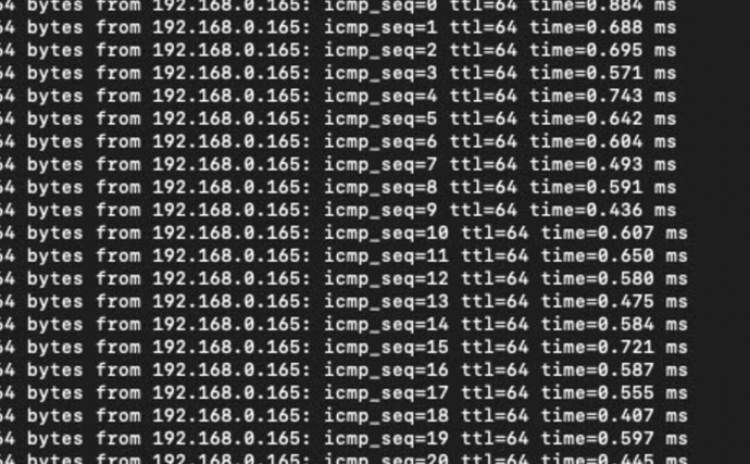 Screen Shot 2021-08-15 at 5.20.36 PM