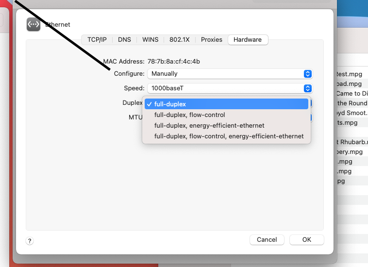 Screen Shot 2021-03-21 at 12.03.17 PM